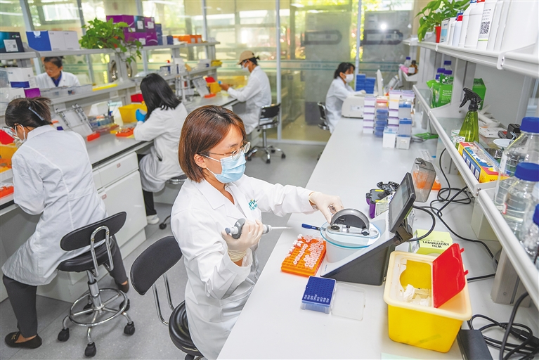潛心科研，培育農業“芯”與通信技術開發的雙重革命